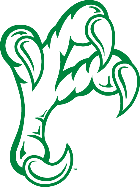 North Texas Mean Green 2005-Pres Alternate Logo 01 iron on paper